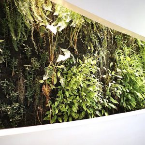 Biophilic Design home design trend